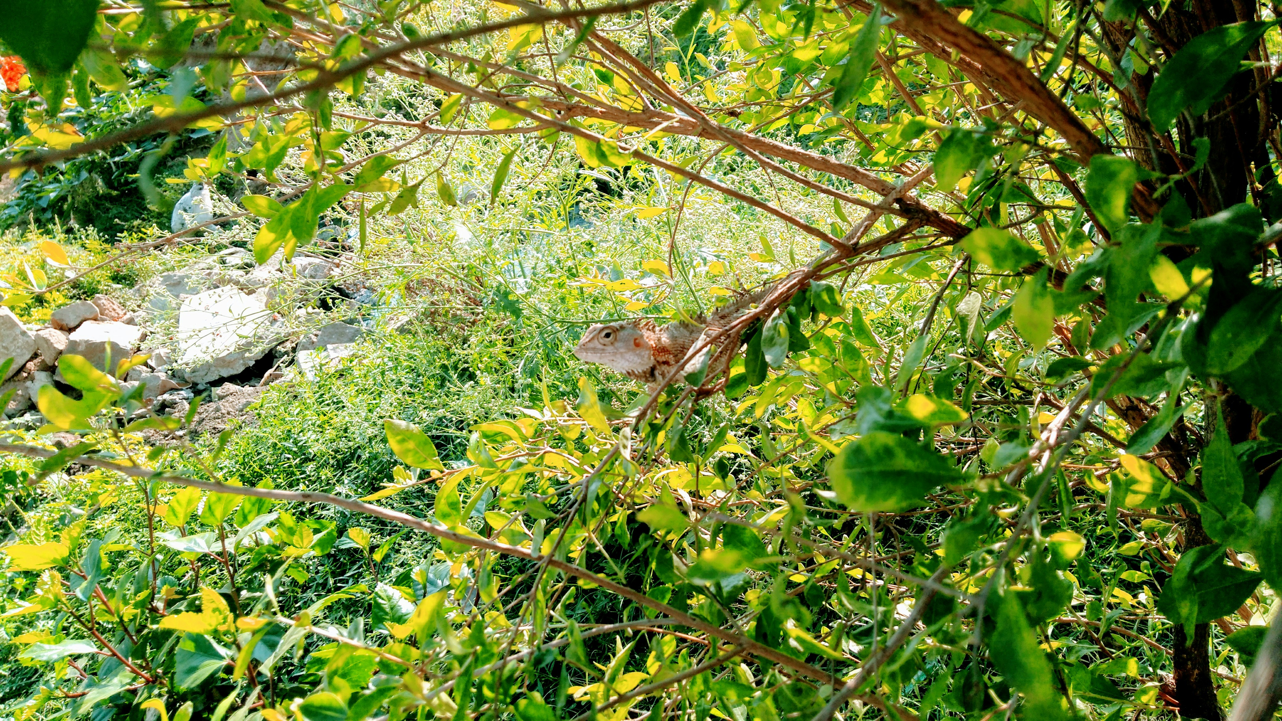 Photo by nandhaswagzz