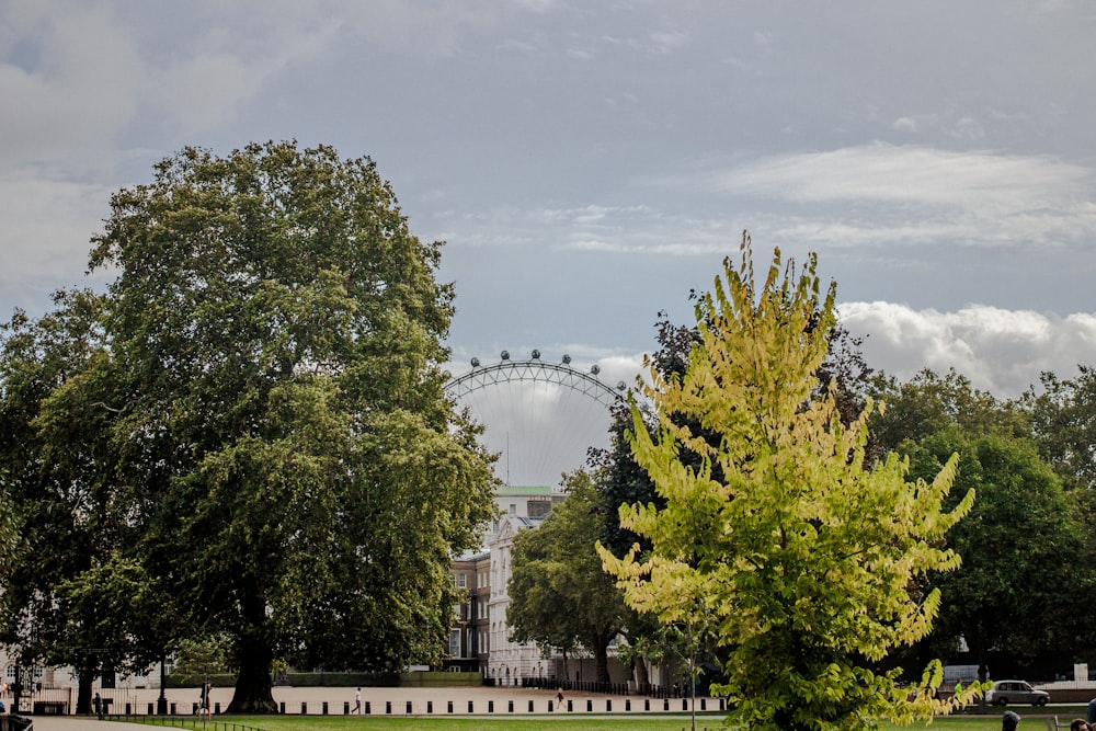 green trees