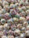 A close-up view of cookies or pastries topped with colorful sprinkles. The treats appear to be bite-sized and are coated with a white icing, adorned with an array of multicolored sprinkles.