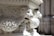 A detailed stone carving featuring animal heads, possibly lions, integrated with intricate patterns and shapes. The carvings are part of a column or architectural structure, with bright light casting shadows to emphasize the relief's depth and texture.