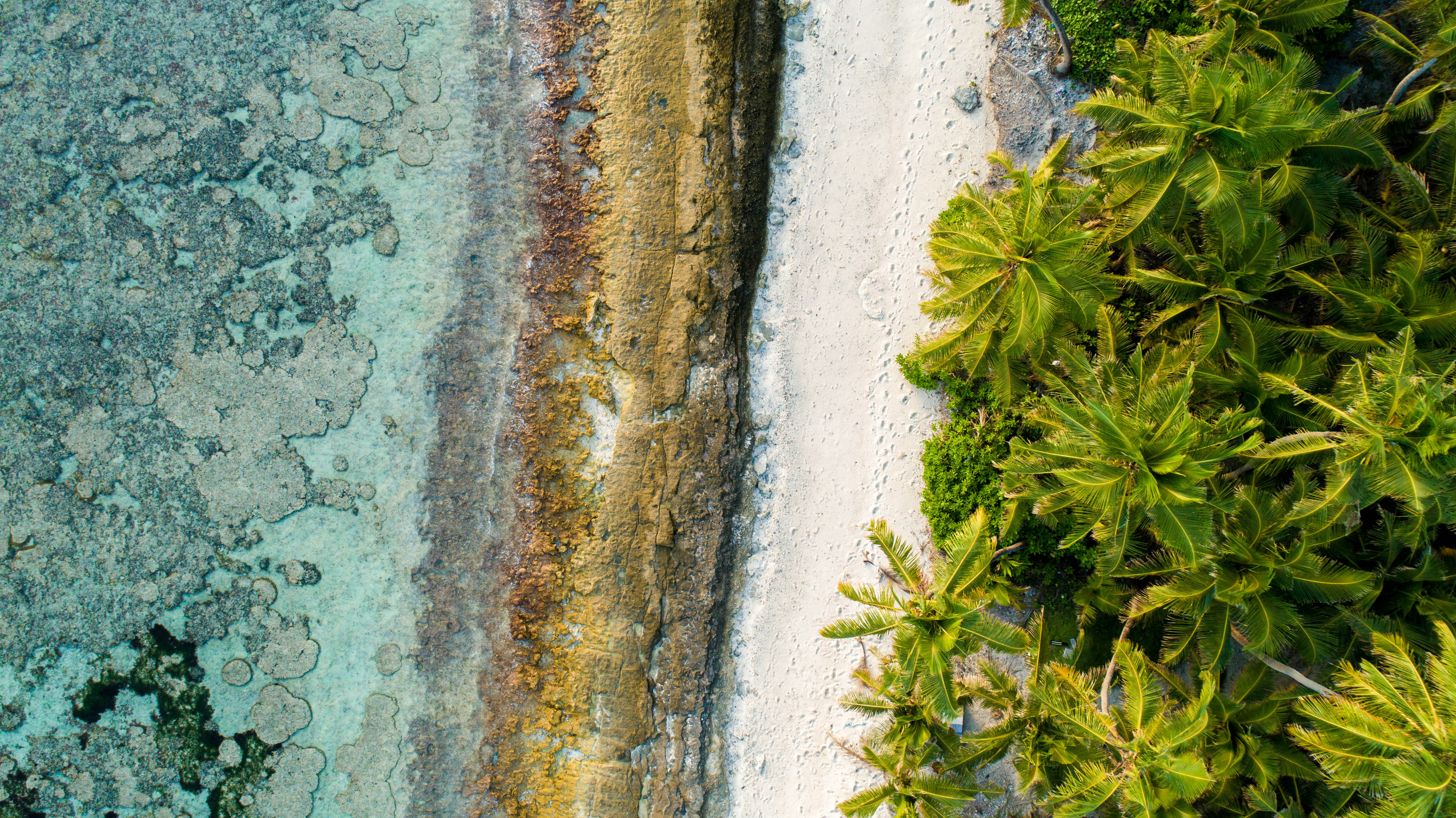 Photo by ___jiyad___