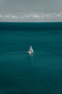 white and brown boat in body of water