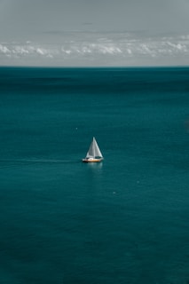 white and brown boat in body of water
