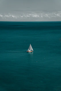 white and brown boat in body of water