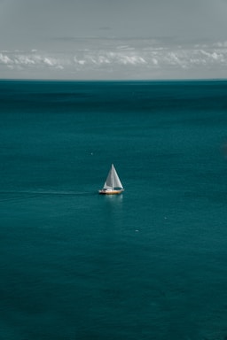 white and brown boat in body of water