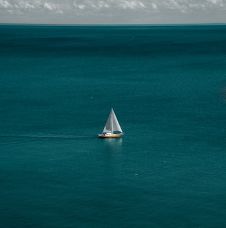 white and brown boat in body of water