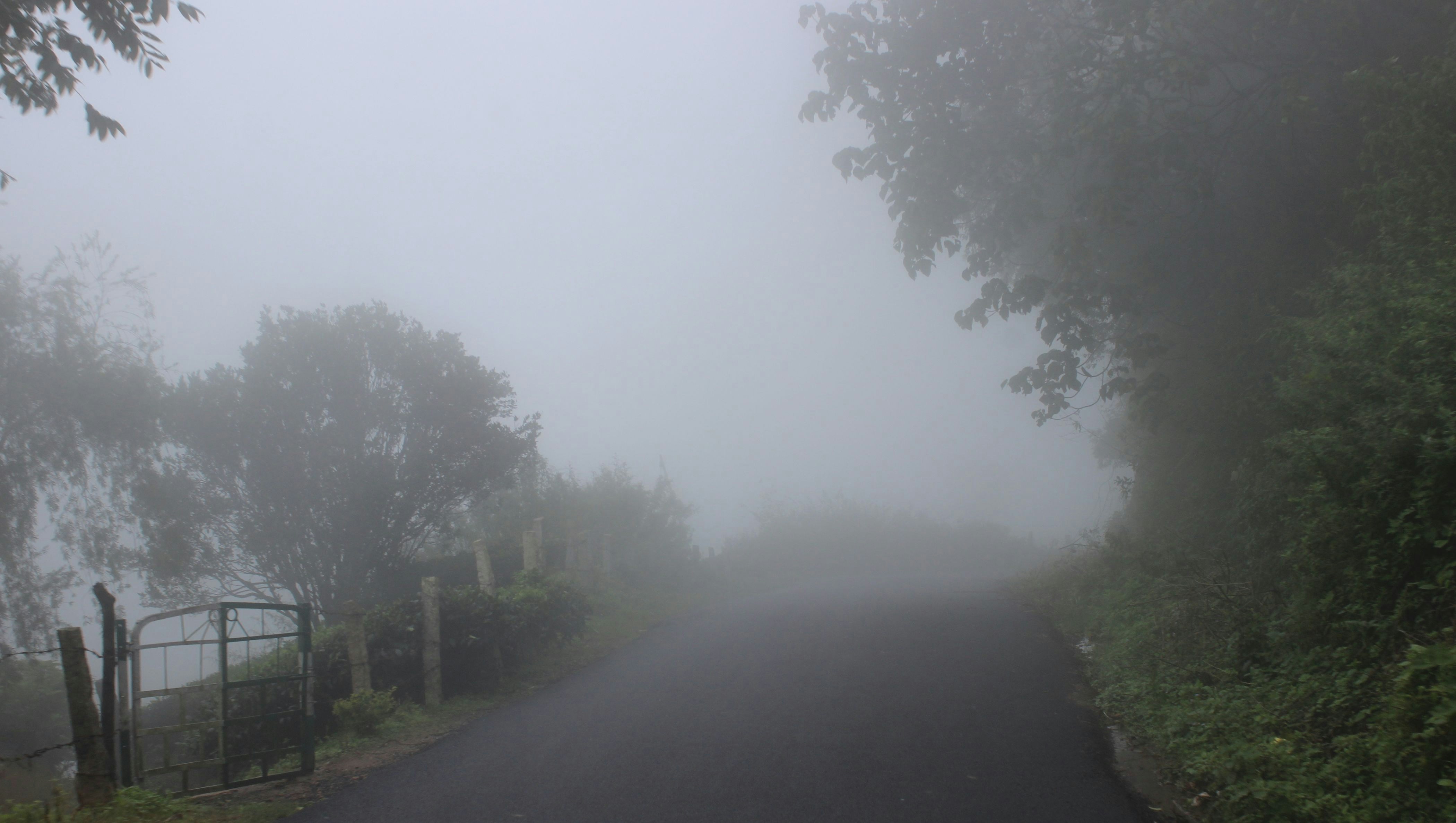 Photo by shahidscorner