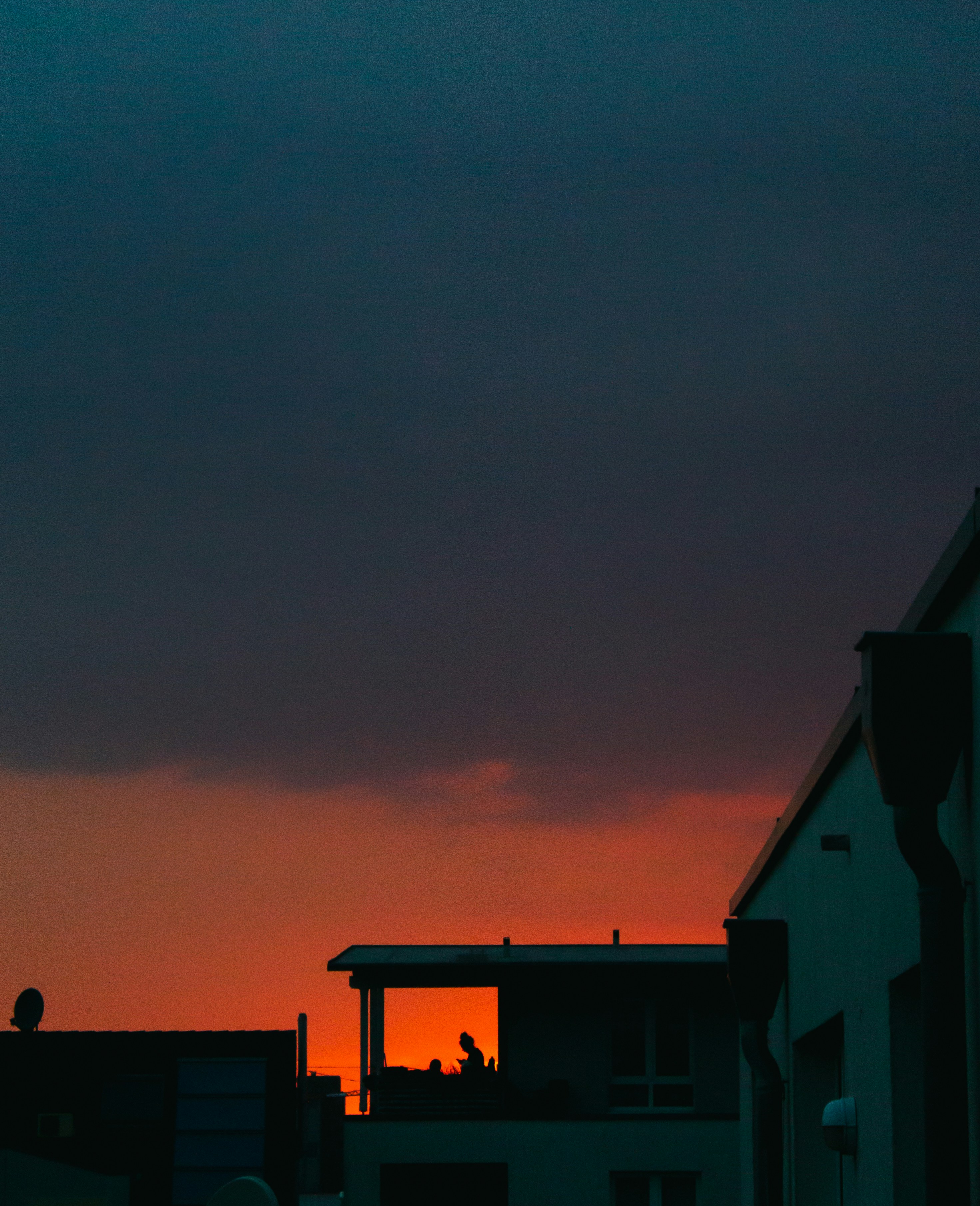 Photo by mohebanwari