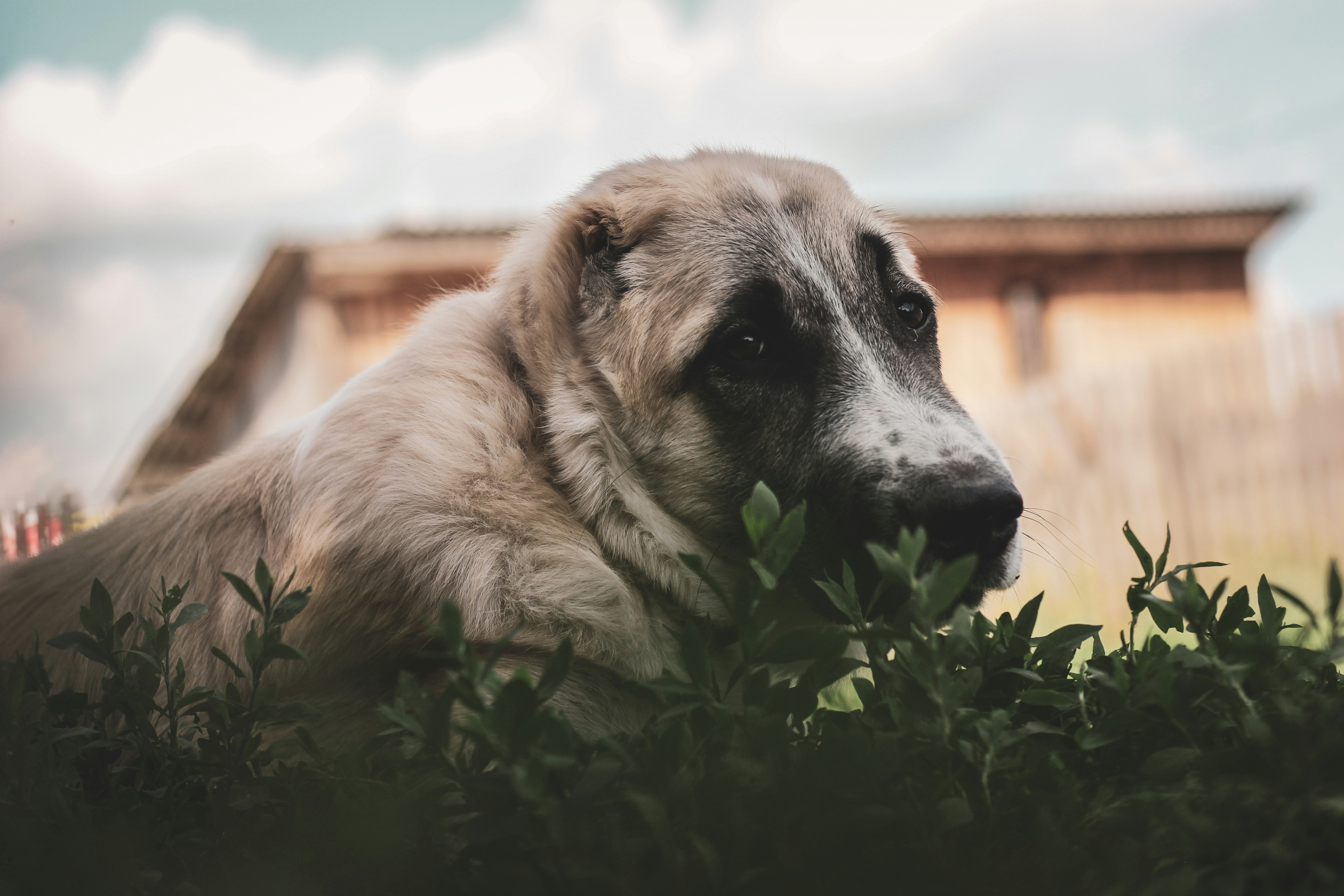 Photo by anastasiavitph