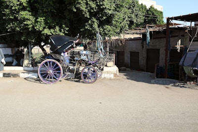 An elegant horse-drawn carriage with polished wood and brass details on a cobblestone street.