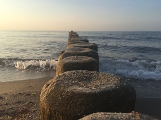 round gray stones
