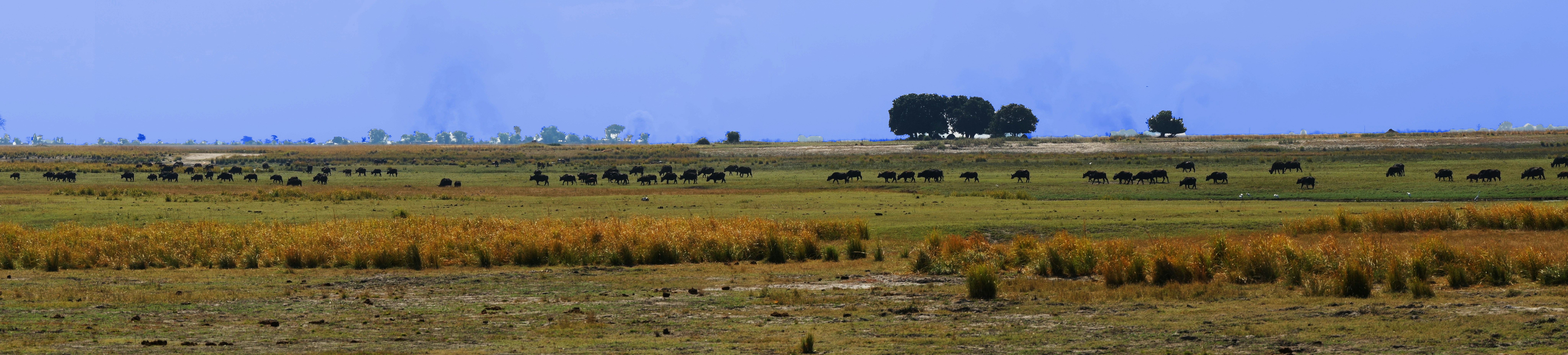 Photo by jaegerbande