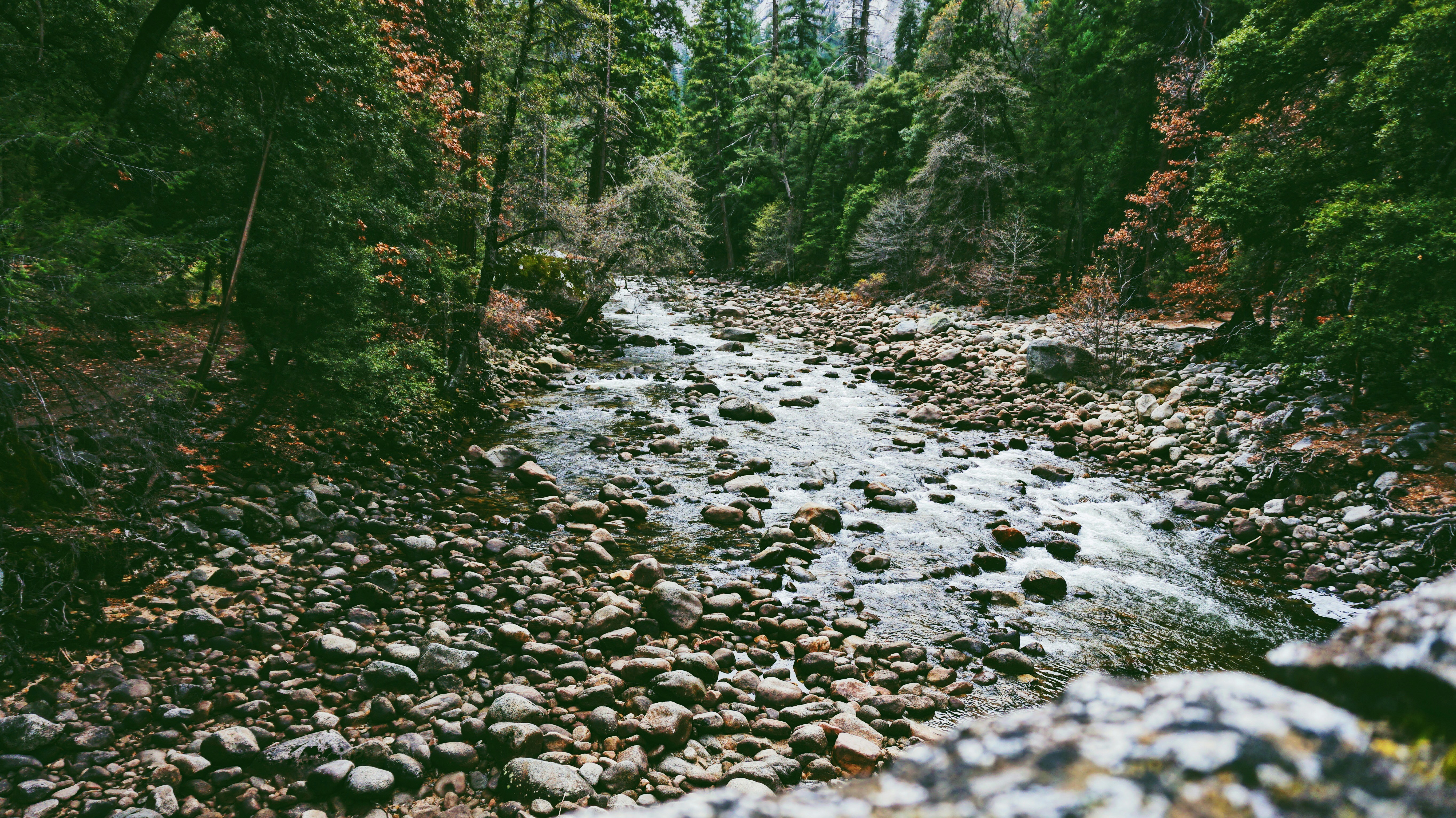 Photo by joshuaadamsmackey