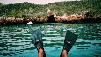 A pair of black diving fins partially submerged in shallow turquoise water