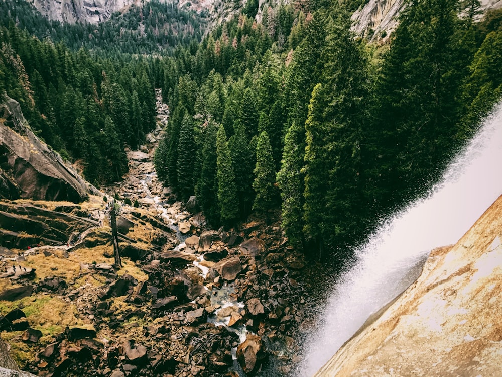 photography of waterfalls and pine trees during daytime