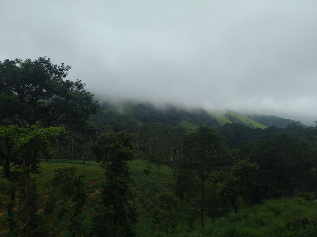 Forest photo spot Unnamed Road Kolukkumalai