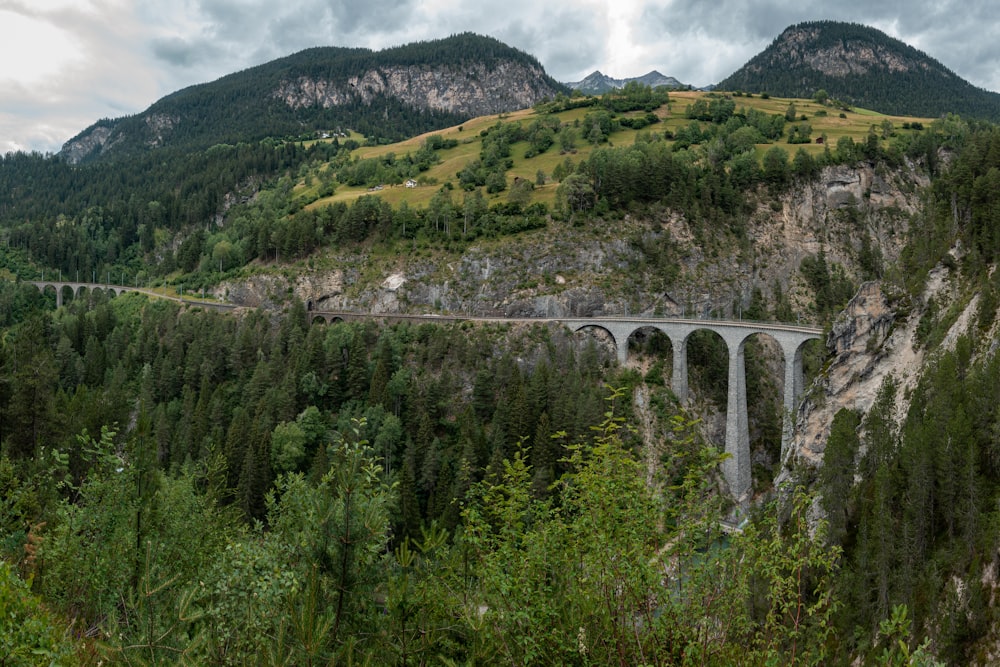 gray concrete bridge