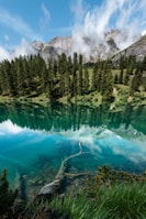 photography of lake surrounded by pine trees during daytime
