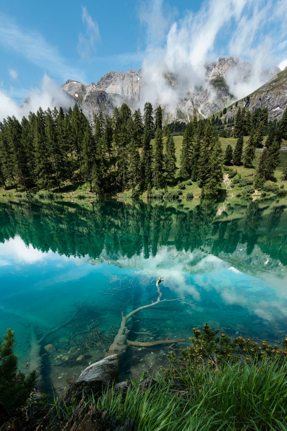 photography of lake surrounded by pine trees during daytime