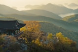 Window view showing peaceful temple surroundings.