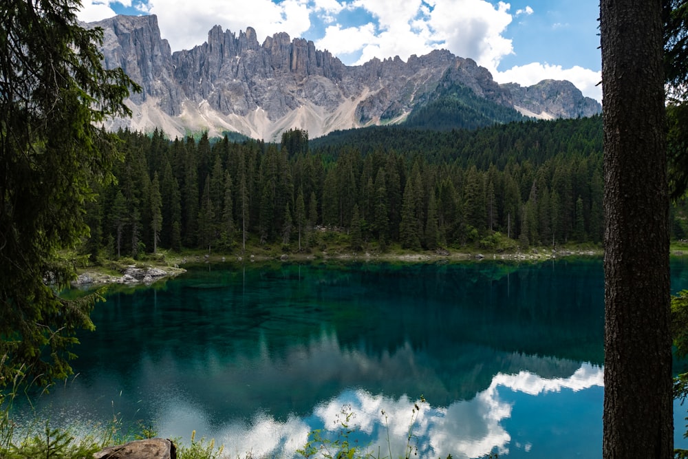 Fotografía del lago y la cordillera Brown durante el día