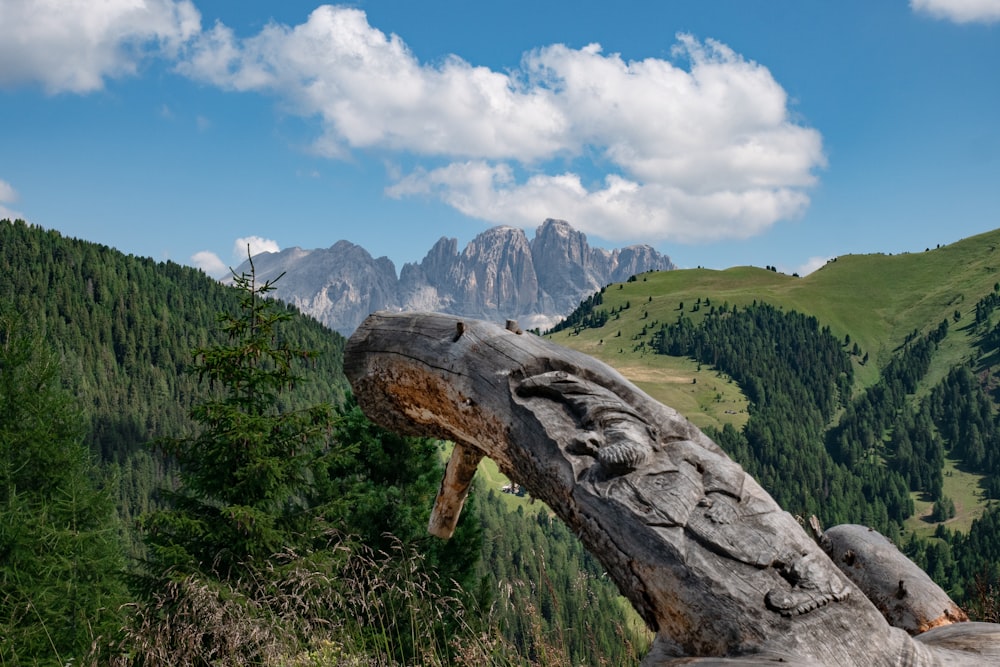 photography of mountain range during daytime