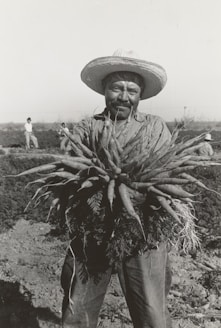 ,man holding rootcrop