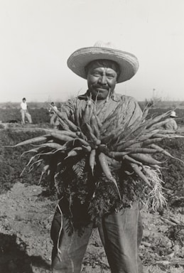 A man wearing a wide-brimmed hat is holding a large bundle of freshly pulled carrots in a field. The background shows a few other people working in the field. The scene appears traditional and rural, emphasizing agriculture and manual labor.
