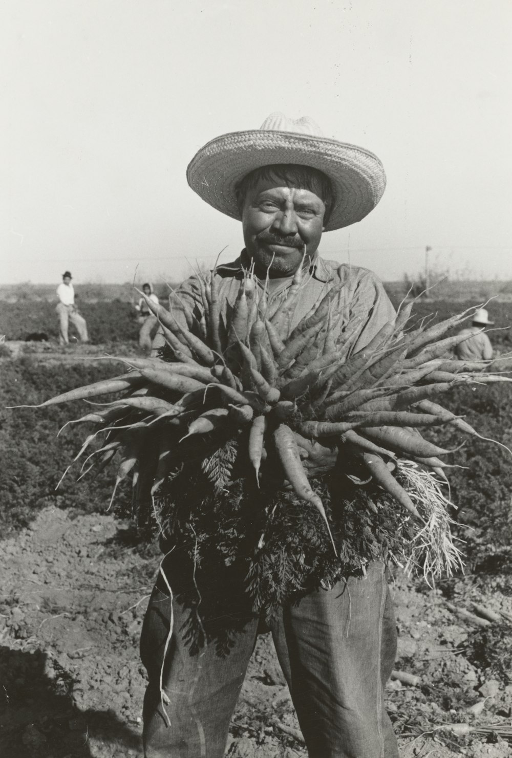 , hombre sosteniendo el cultivo de raíces