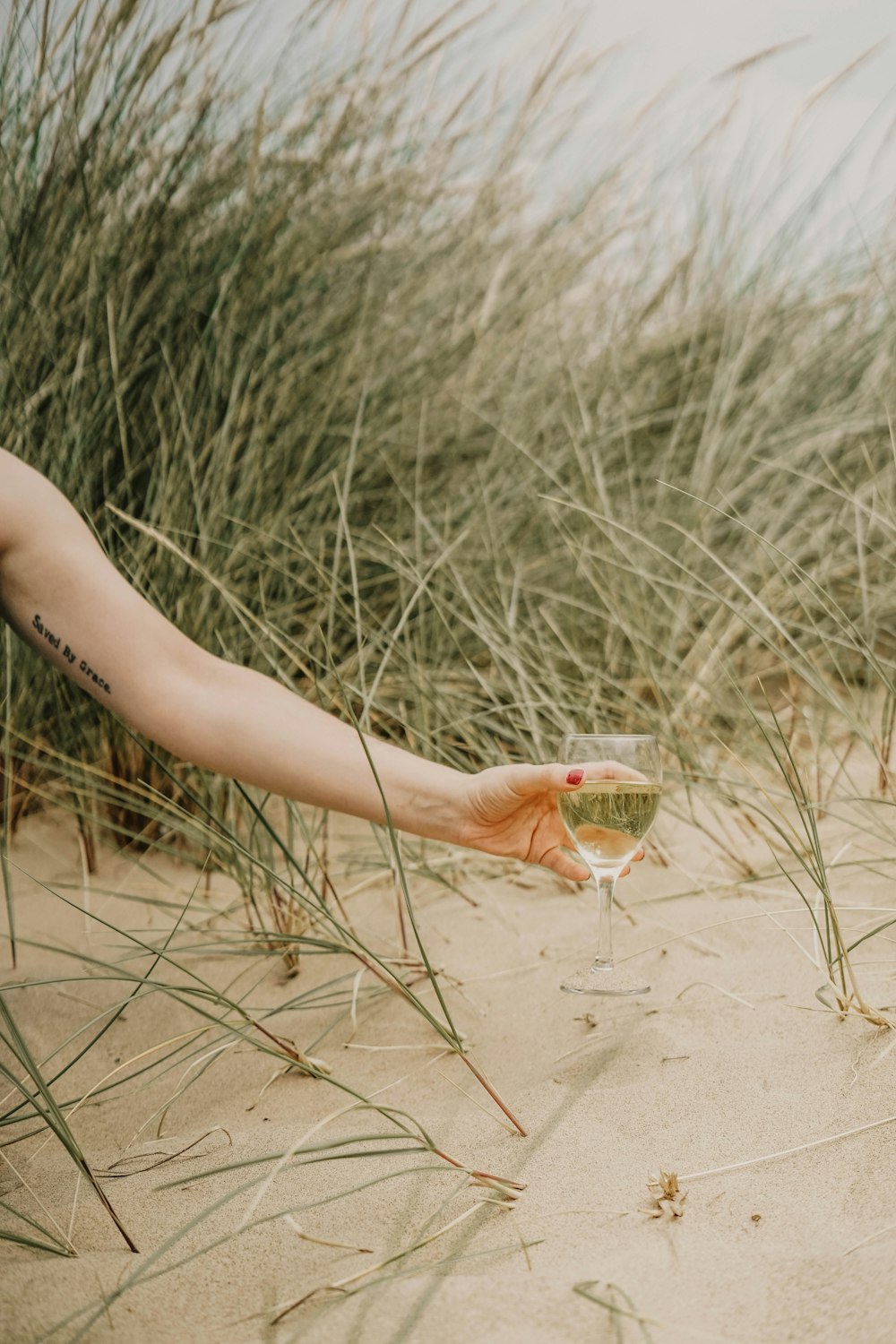 person holding glass of white wine