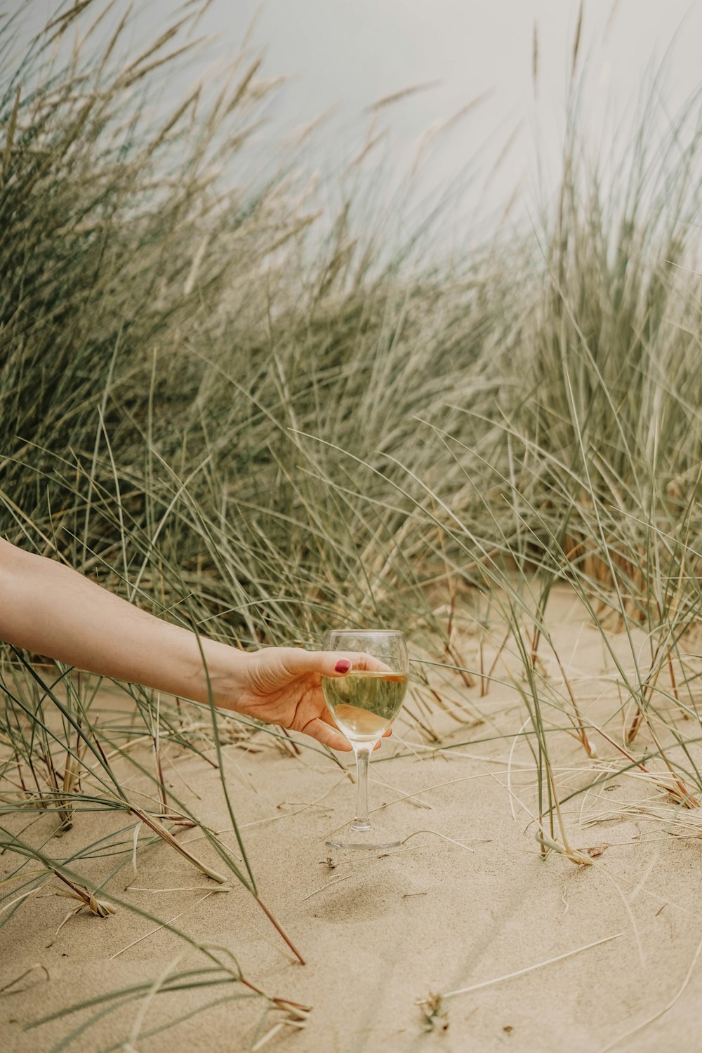 person holding glass of champagne