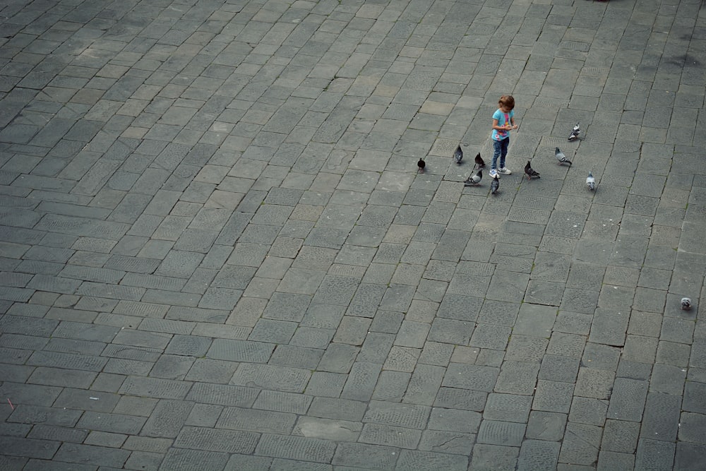 aerial photography of girl standing near concrete pavement surrounded by pigeons during daytime