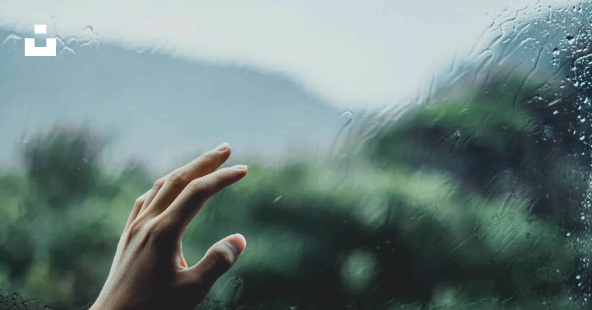 유리에 접하려고 하는 사람 사진 – Unsplash의 무료 비 이미지