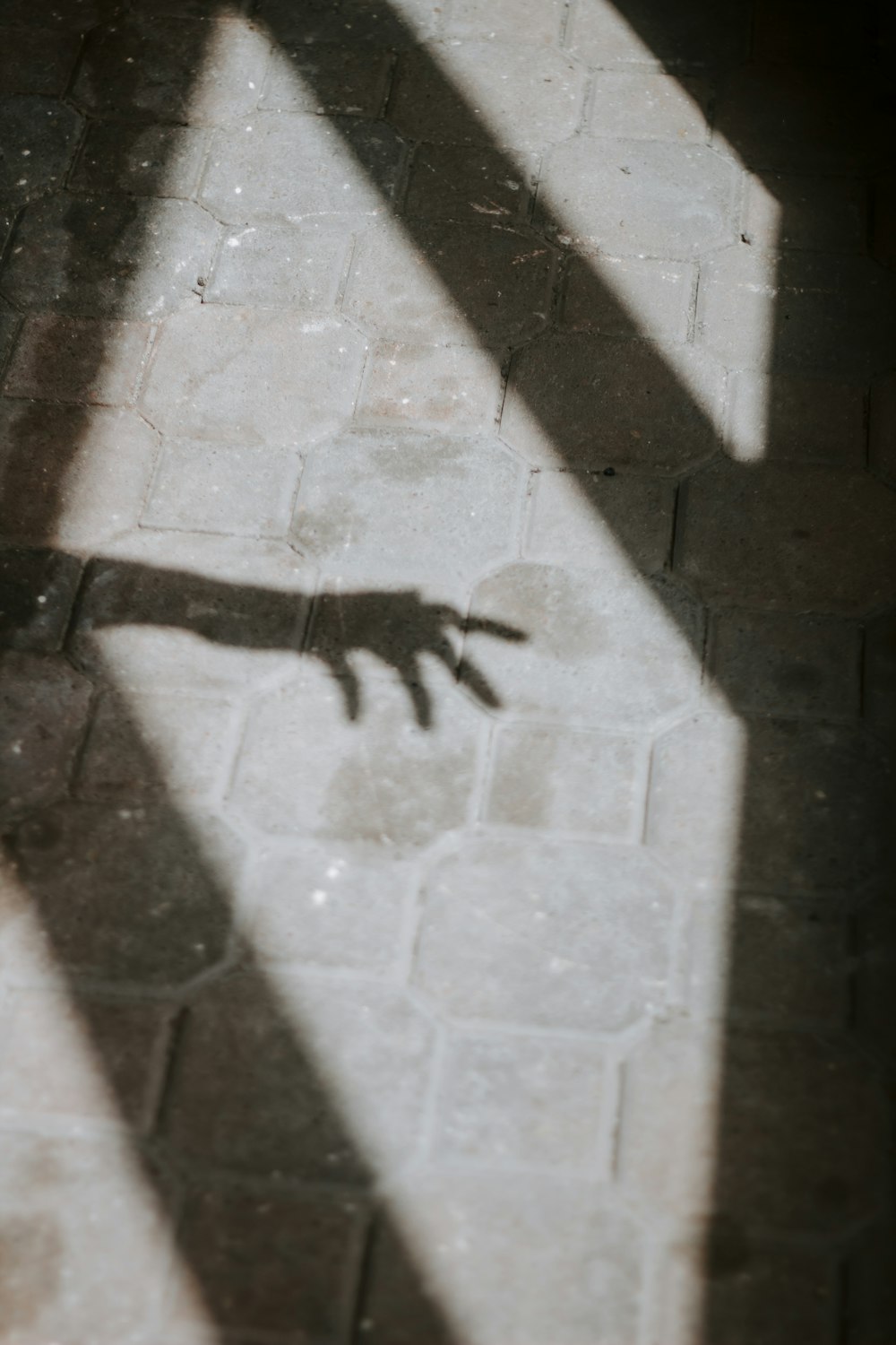 a shadow of a hand on a brick floor