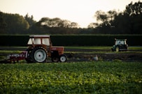 orange tractor