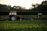 orange tractor