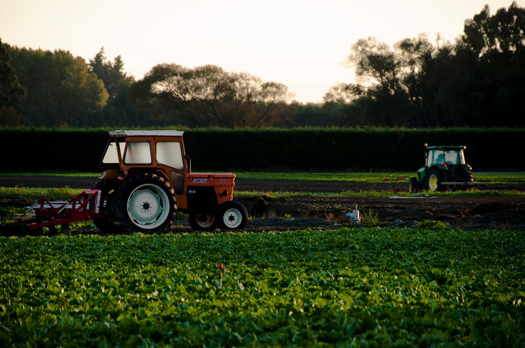 AGROFAR CHOSZCZNO