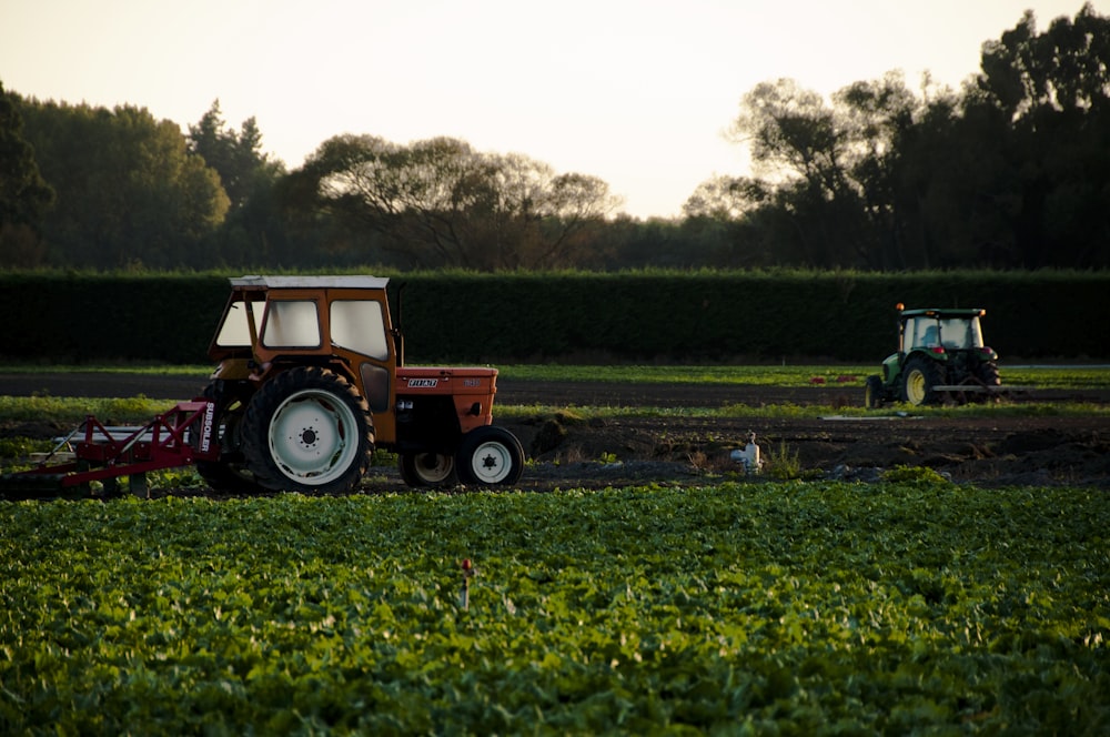 orange tractor