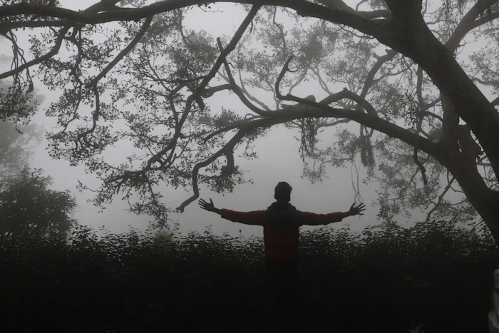 Nandi Hills above clouds Karnataka