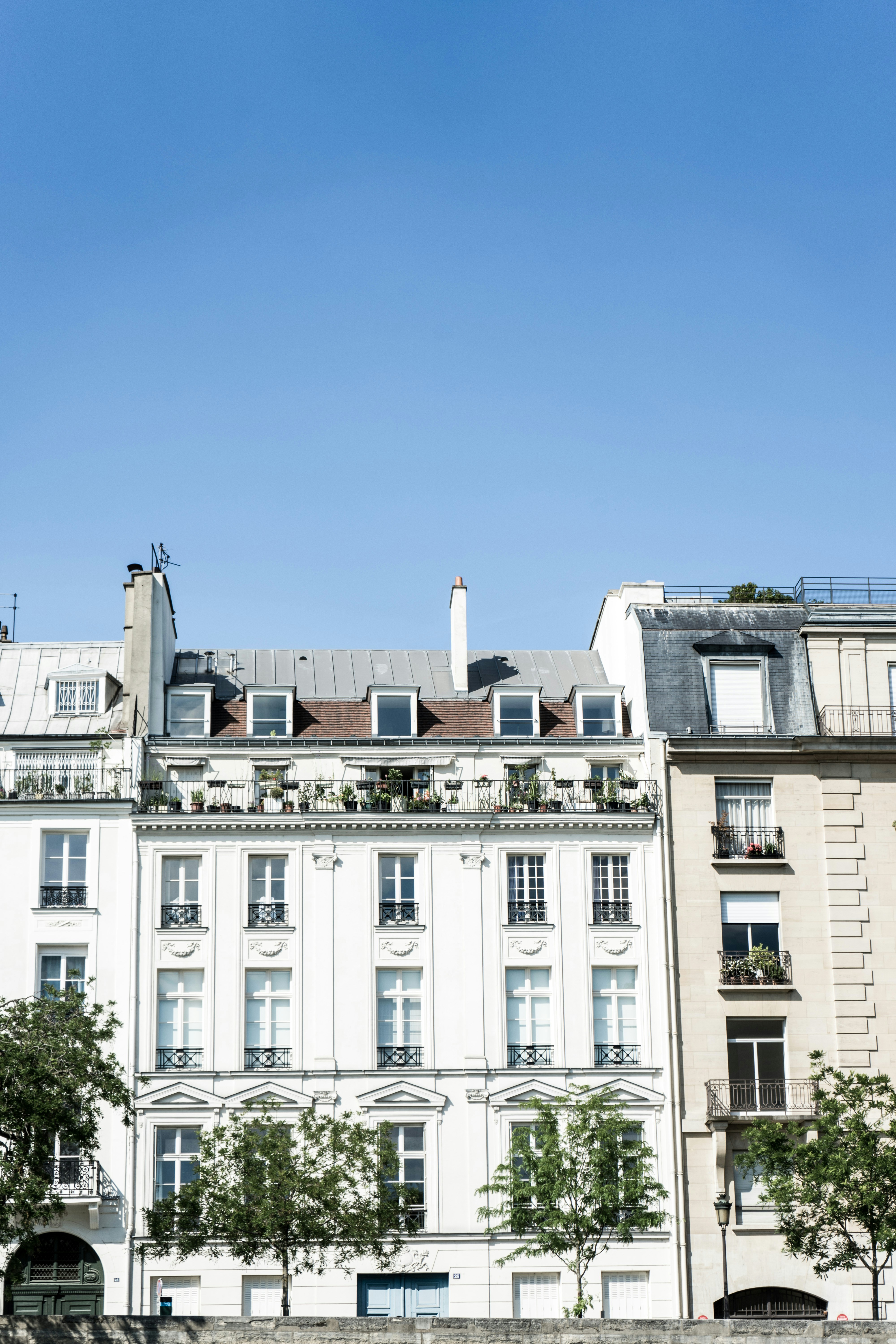 Photo by virussinside