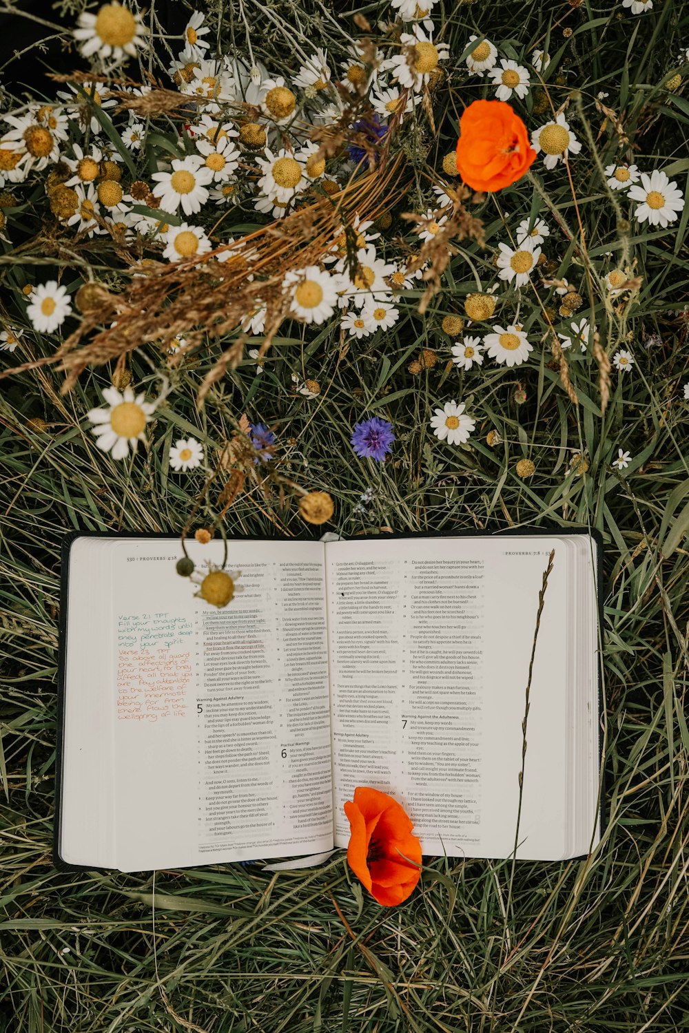 open book on green grasses