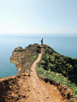 A person is standing at the edge of a cliff, gazing out over a vast, calm ocean. The narrow path leading to the cliff's edge is surrounded by lush green vegetation and small yellow flowers. The sky is clear and blue, giving a feeling of openness and tranquility.