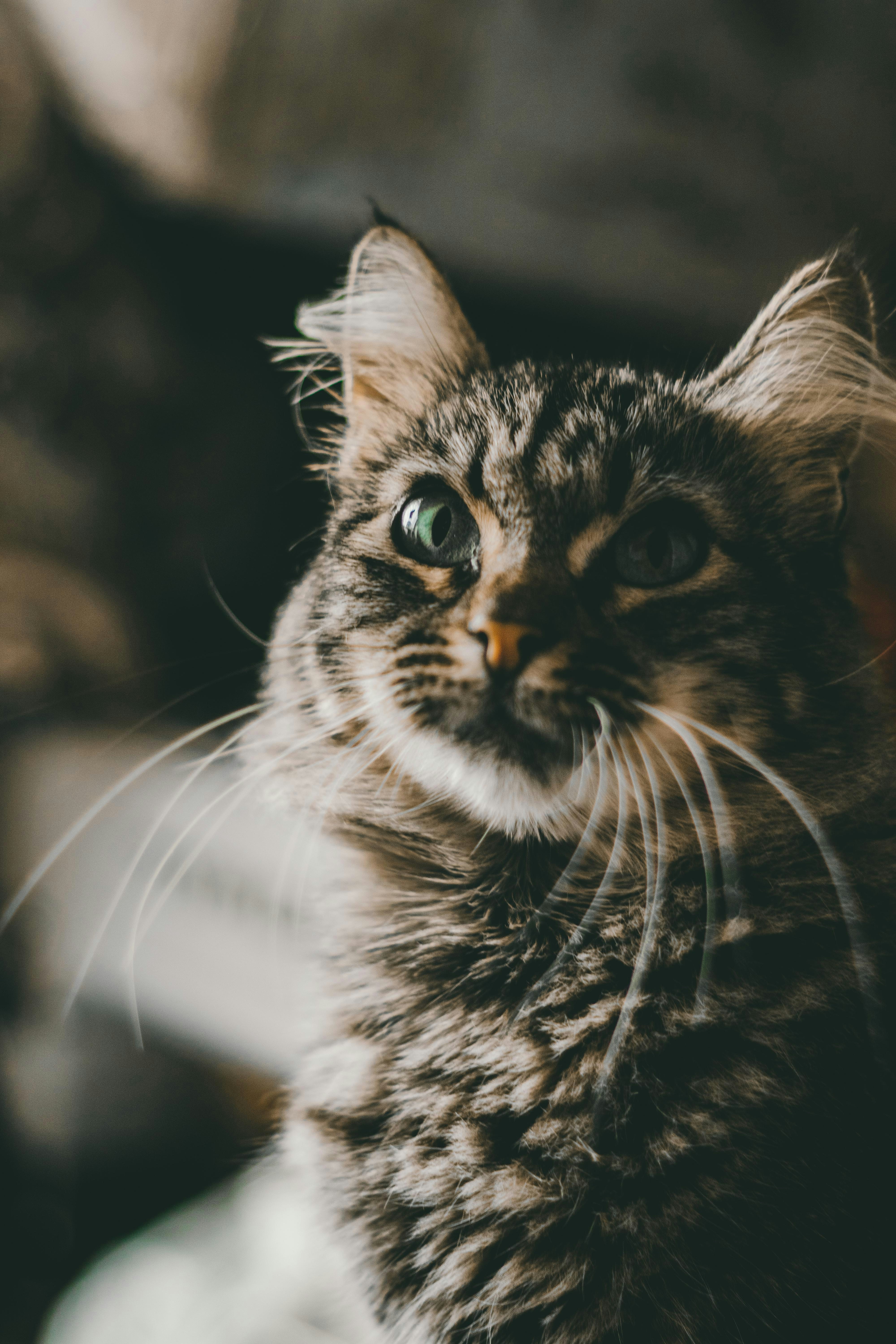 Photo by fraynavarro