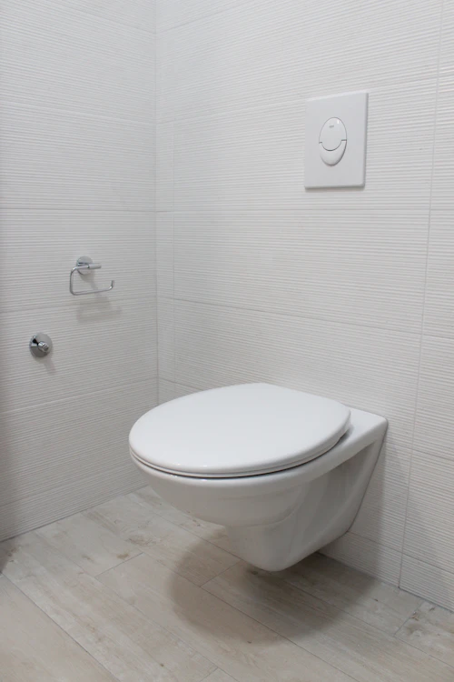 Smart toilets and modern toilets