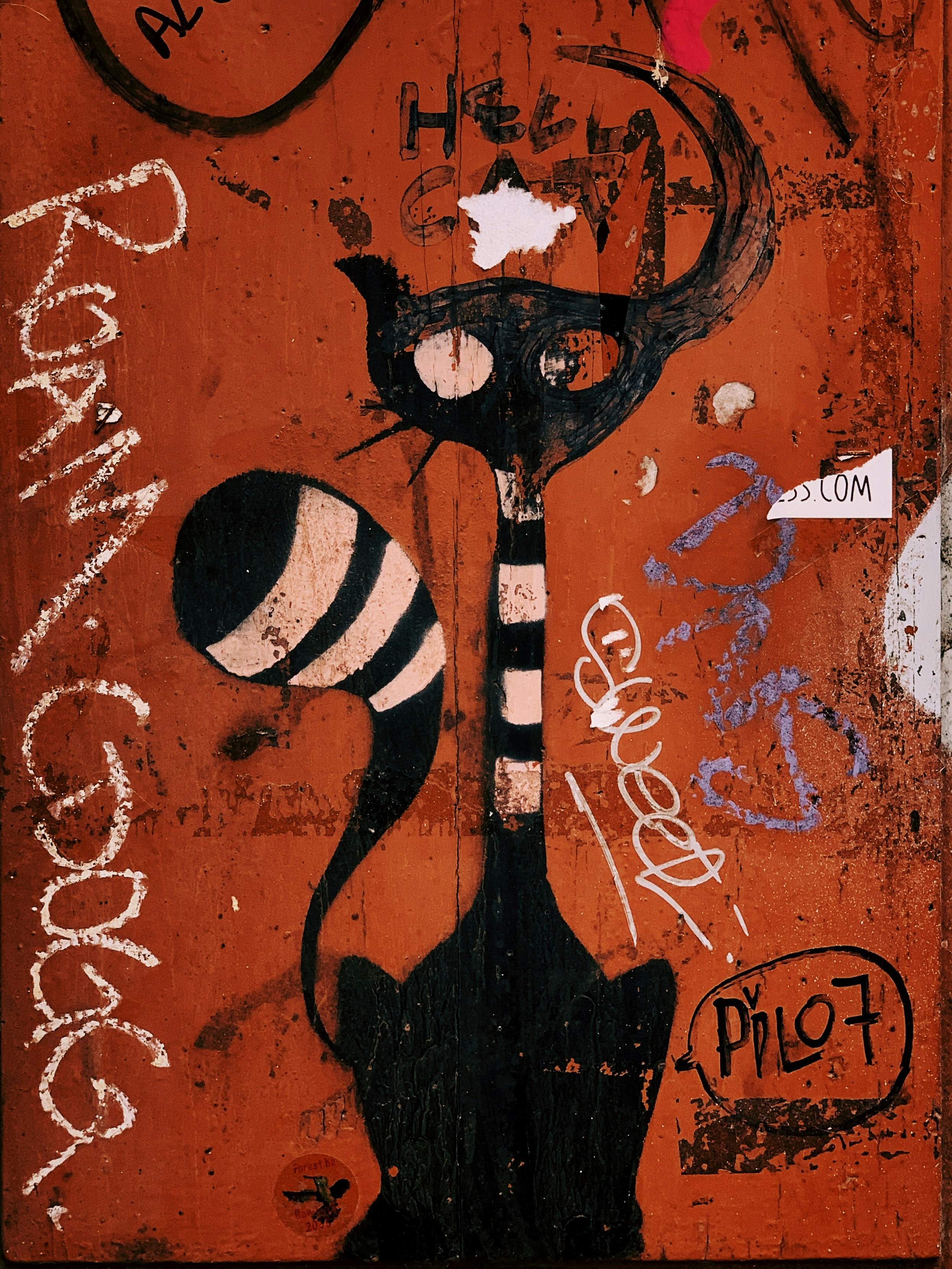 graffiti black cat wall decor