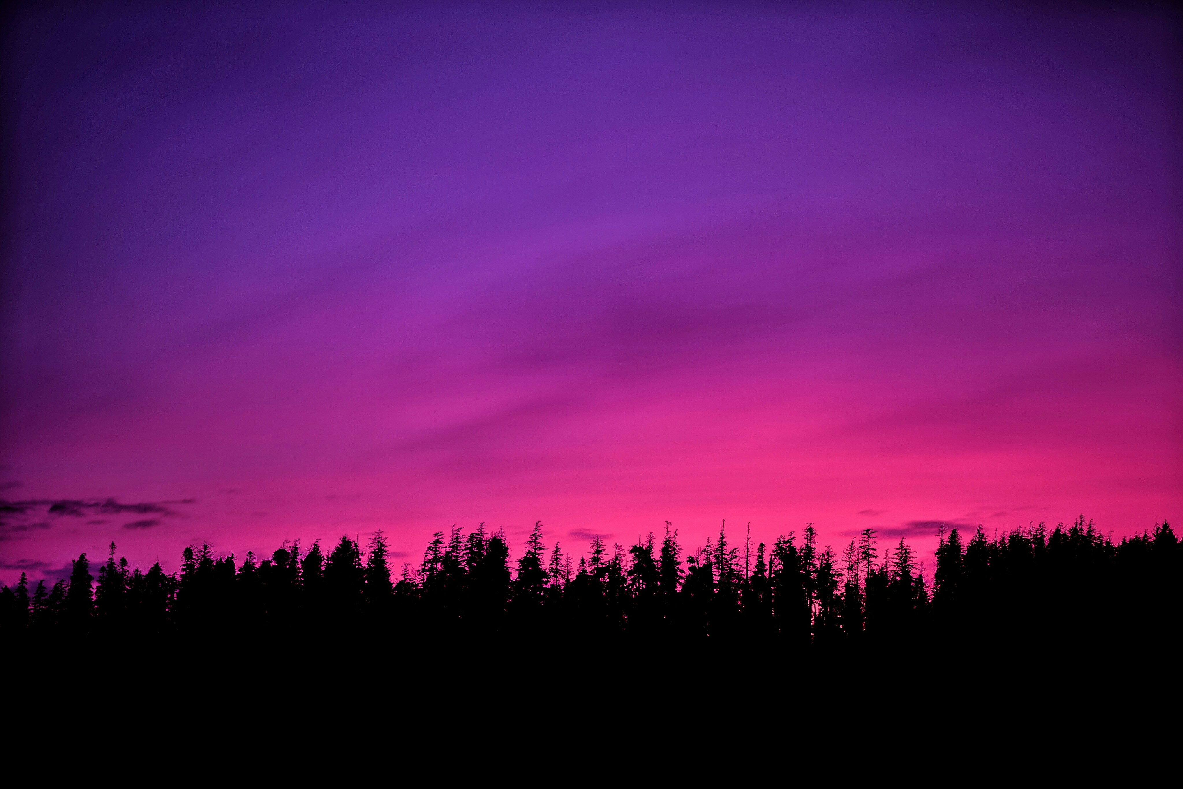 Photo by crockpotveggies