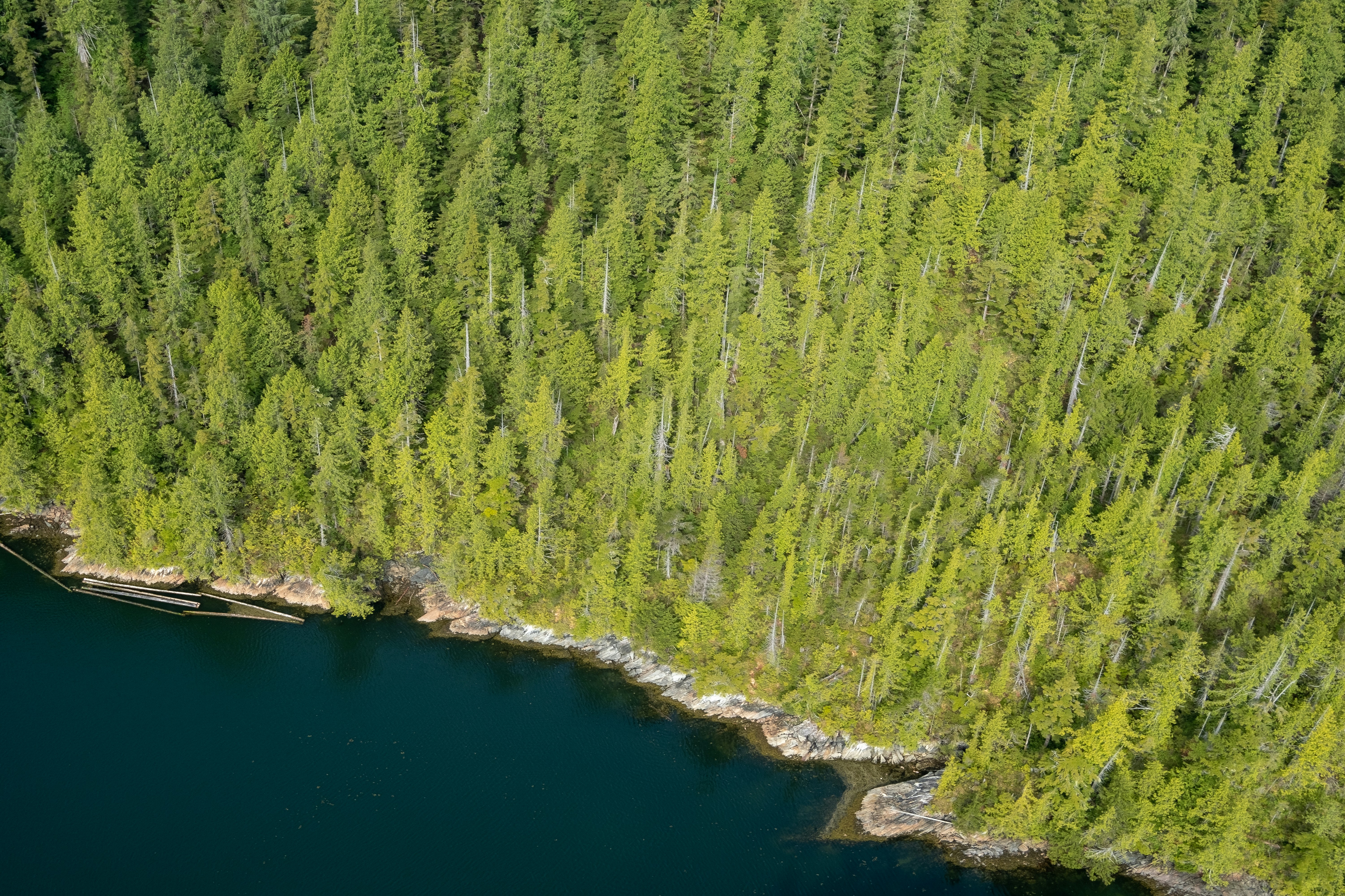 Photo by leilaboujnane