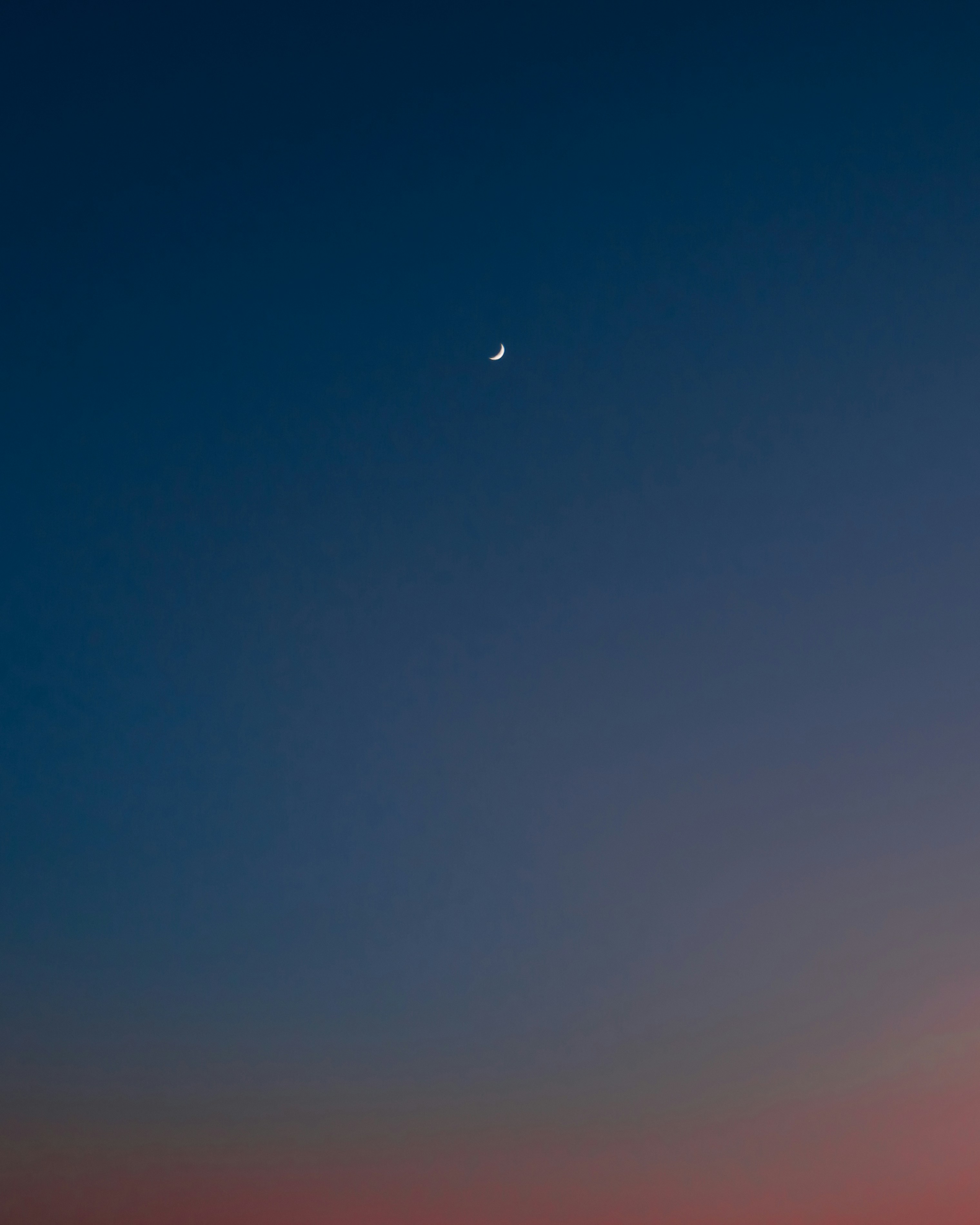 Photo by peterbrejassou