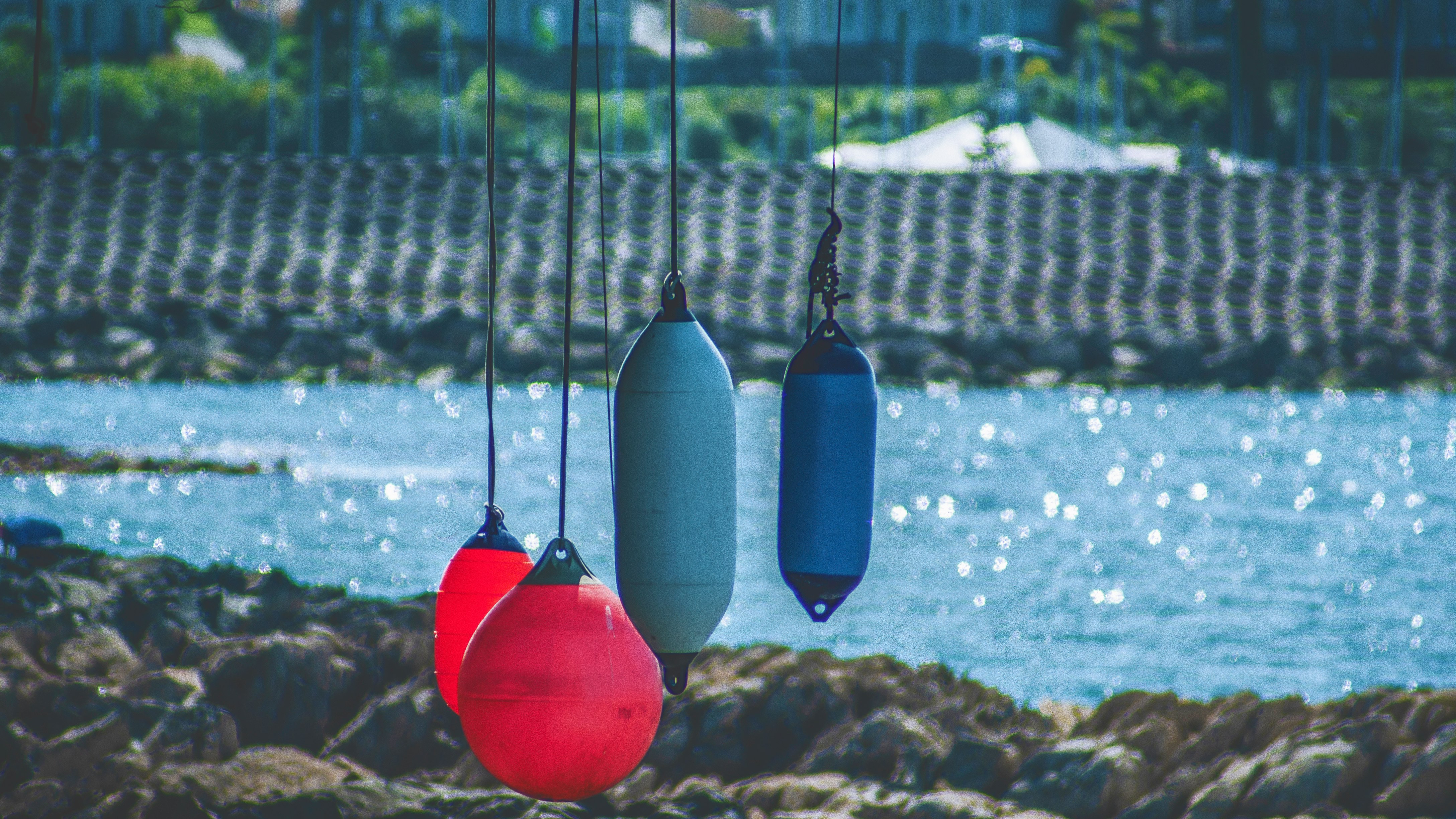 four hanging tanks beside blue beach