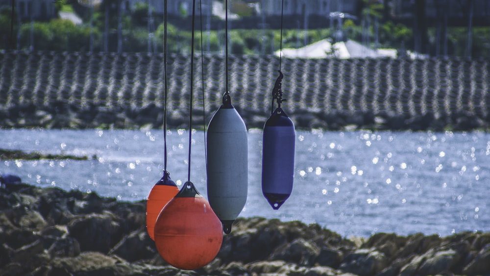 four hanging tanks beside blue beach